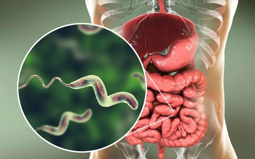 Digestive Disease Inc. Diarreha/Constipation